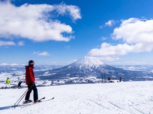 Jelajahi Keindahan Alam Hokkaido dengan Private Tour Jepang Eksklusif