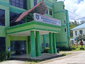 8 Dokter RS di Mamasa Mogok Kerja gegara Insentif-Jasa Medis BPJS Menunggak