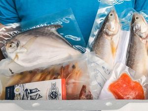 Apes! Penjual Seafood Ini Kena Prank Pembeli Rp 24 Juta Apes! Penjual Seafood Ini Kena Prank Pembeli Rp 24 Juta