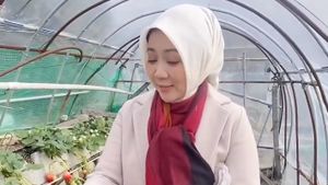 Atalia Praratya Doyan Makan Bakso hingga Jago Petik Stroberi