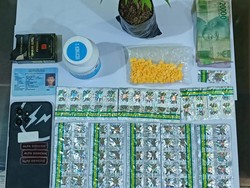 Tanam Pohon Ganja di Samping Rumah, Pedagang Kacang Arab Ditangkap