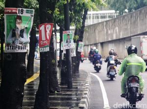 Caleg Penghuni Pohon Rusak Keindahan Ibu Kota Caleg Penghuni Pohon Rusak Keindahan Ibu Kota