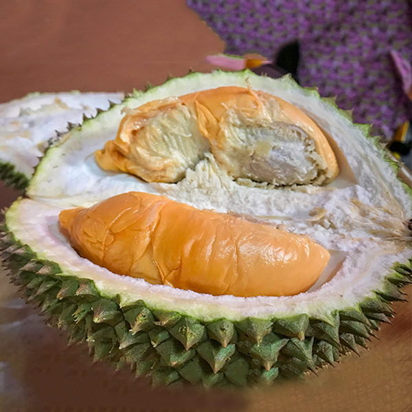 Durian Durian