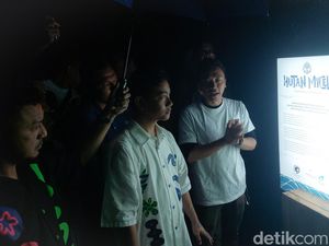 Gibran Terpesona Kala Jajal Obwis Hutan Mycelia Lembang