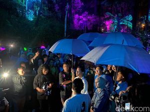 Gibran Takjub Lihat Hutan Mycelia Lembang: Konsepnya Saya Curi Ya