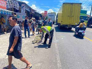 Pemotor di Tabanan Tewas Mengenaskan Akibat Terlindas Truk Boks