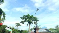 Rupa Destinasi Wisata Terasering Ngargogondo Borobudur Sekarang