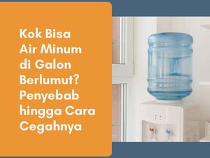 Kok Bisa Air di Galon Berlumut? Info Singkatnya Ada di Sini