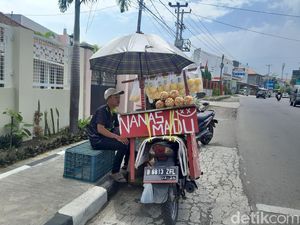 Alo Kesampingkan Gengsi, Jual Nanas Madu demi Bantu Ortu Alo Kesampingkan Gengsi, Jual Nanas Madu demi Bantu Ortu