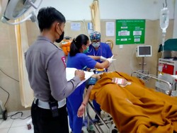 Adu Banteng dengan Anak-anak, Kabid PPA Klungkung Tewas