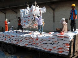 Beras Impor 1 Juta Ton Masuk RI Sebelum Panen Raya