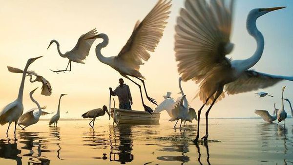 Foto Spektakuler Kontes Foto Internasional 2023 Bikin Terkesima