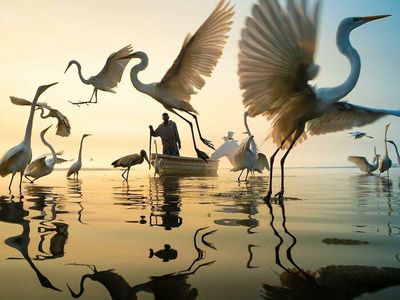 Foto Spektakuler Kontes Foto Internasional 2023 Bikin Terkesima