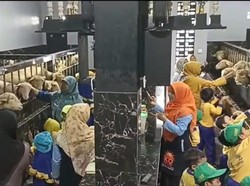 Viral Kandang Domba Kece Badai, Lebih Mewah dari Rumah Orang