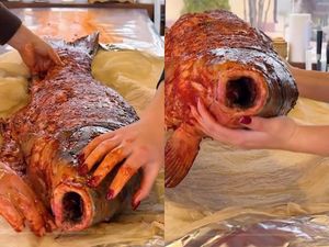 Keluarga Ini Masak Ikan Panggang Raksasa yang Disebut Mirip Ikan Siluman Keluarga Ini Masak Ikan Panggang Raksasa yang Disebut Mirip Ikan Siluman
