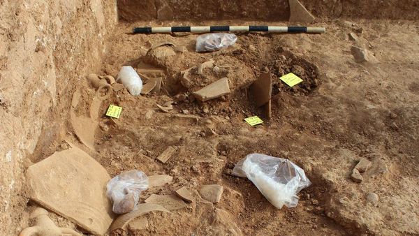 Potret Toko Wine Berusia 1.600 Tahun Era Kekaisaran Romawi Ditemukan di Yunani