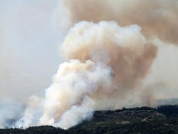 Penampakan Kebakaran Hutan yang Melanda Chile