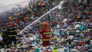 Potret Damkar Berjibaku Padamkan Kebakaran TPS Plastik di Meksiko
