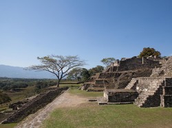 Ketika Kartel Narkoba Mulai Kuasai Reruntuhan Maya