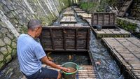 Kreatif! Warga Bandung Manfaatkan Sungai untuk Budi Daya Ikan