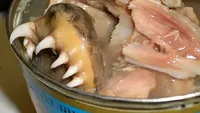 10 Makanan Ini Bentuknya Tak Masuk Akal dan Bikin Heboh
