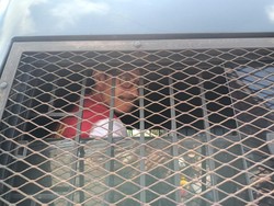 Sidang Perdana Aktivis Lingkungan Karimunjawa Diwarnai Aksi Demo