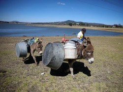 Kota Ini Kehabisan Air, Sampai Suruh Turis Hemat Air