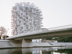 Bukan Pohon, Ini Apartemen!