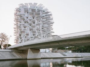 Bukan Pohon, Ini Apartemen! Bukan Pohon, Ini Apartemen!