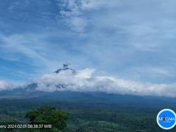 Semeru Kembali Erupsi, Tinggi Letusan 900 Meter dari Puncak
