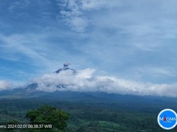 Semeru Kembali Erupsi, Tinggi Letusan 900 Meter dari Puncak
