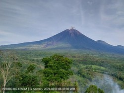 Gunung Semeru Erupsi Semburkan Abu Vulkanik Setinggi 500 Meter