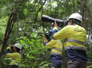 Hutan Tujuh Bukit Banyuwangi Simpan Keanekaragaman Hewan dan Tumbuhan