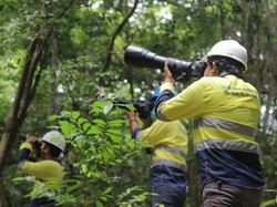 Hutan Tujuh Bukit Banyuwangi Simpan Keanekaragaman Hewan dan Tumbuhan
