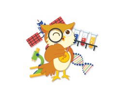 Siap-siap Olimpiade Nasional MIPA 2024, Mahasiswa Simak Ya