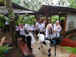 Pemuda Banyuwangi Sukses Berdayakan Warga Lewat Peternakan Kambing Perah