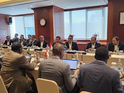 Kembangkan Pembangkit Panas Bumi, BUMN Tanzania Berguru ke RI