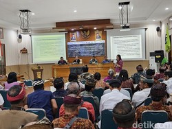 Awas! Kasus Rabies di Klungkung Tinggi, hanya Nusa Penida yang Aman