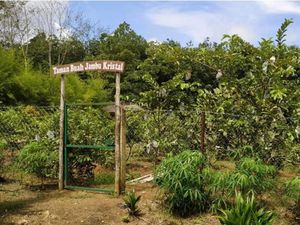 10 Tempat Wisata di Lampung Utara, Mempesona dan Bikin Betah