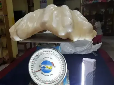 10 Temuan Terlihat Biasa Ternyata Nilainya Bikin Melotot, Triliunan!