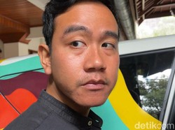 Ramai Sivitas Akademika Petisi Kritik Jokowi, Gibran Santai