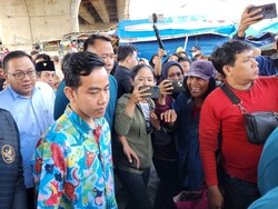 Gibran Sebut Kota Besar Minim Ruang Hijau: IKN Kota di Tengah Hutan