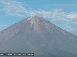 Gunung Semeru Kembali Erupsi, Keluarkan Abu Setinggi 600 Meter