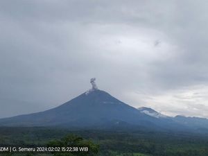 Gunung Semeru Erupsi Muntahkan Abu Vulkanik Setinggi 1.300 Meter Gunung Semeru Erupsi Muntahkan Abu Vulkanik Setinggi 1.300 Meter