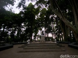 Jabar Bidik 3 Kawasan Jadi Taman Hutan Raya