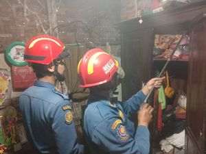 Ngeri Ular Kobra Masuk Lemari Kamar, Warga Bogor Panggil Damkar