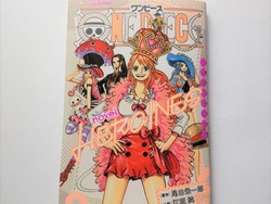 Hore! Cerita tentang Karakter Perempuan One Piece Dibuat Novel
