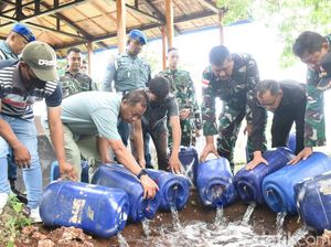 Lantamal Kupang Musnahkan 495 Liter Miras Ilegal Jenis Moke Lantamal Kupang Musnahkan 495 Liter Miras Ilegal Jenis Moke