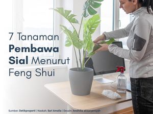 Ada yang Pernah Lihat 7 Tanaman Pembawa Sial Menurut Feng Shui Ini?