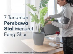 Ada yang Pernah Lihat 7 Tanaman Pembawa Sial Menurut Feng Shui Ini?